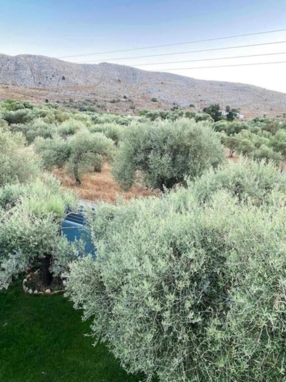 Olives Villa Sinoikismos Kambos Exteriér fotografie